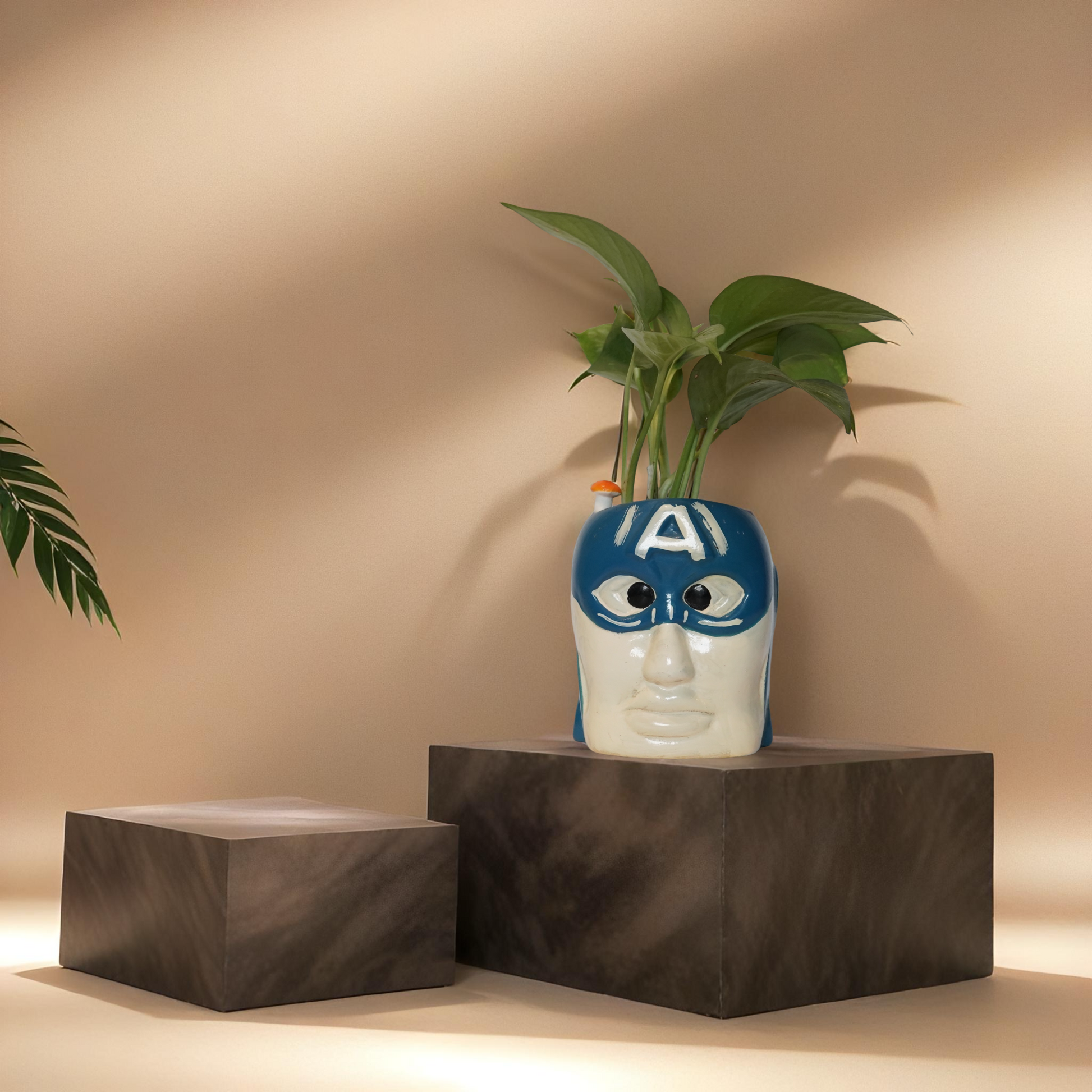 POTHOS/GREEN MONEY PLANT