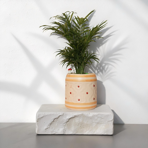 ARECA PALM